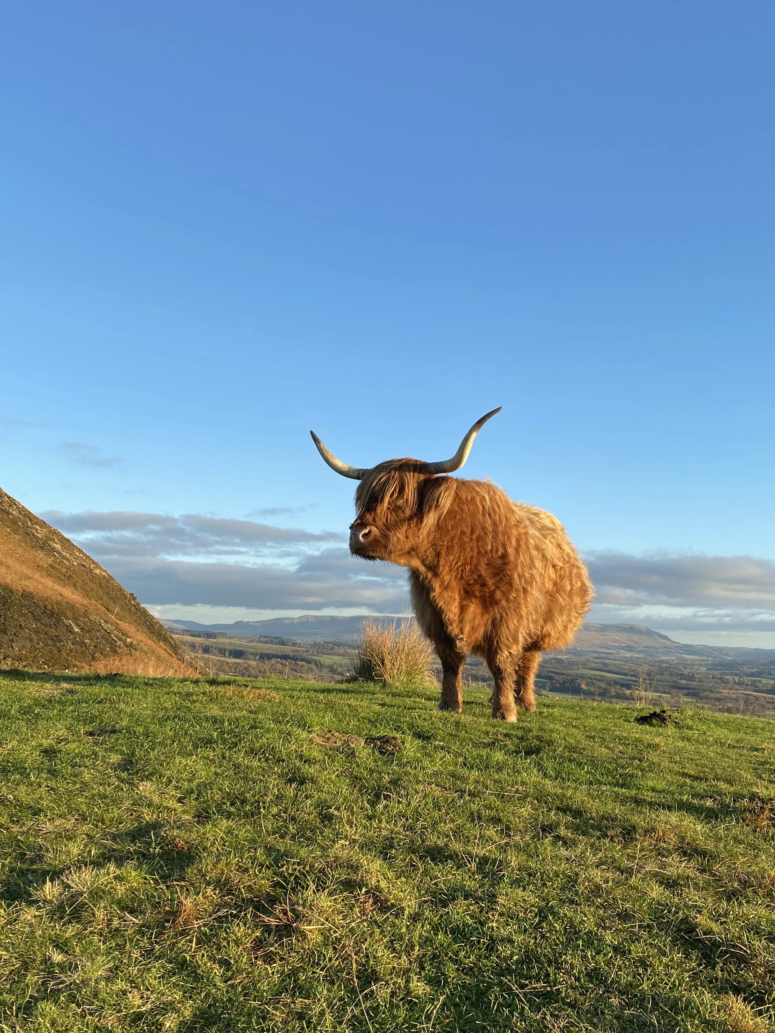 Conic Hill, Sterling, Scotland