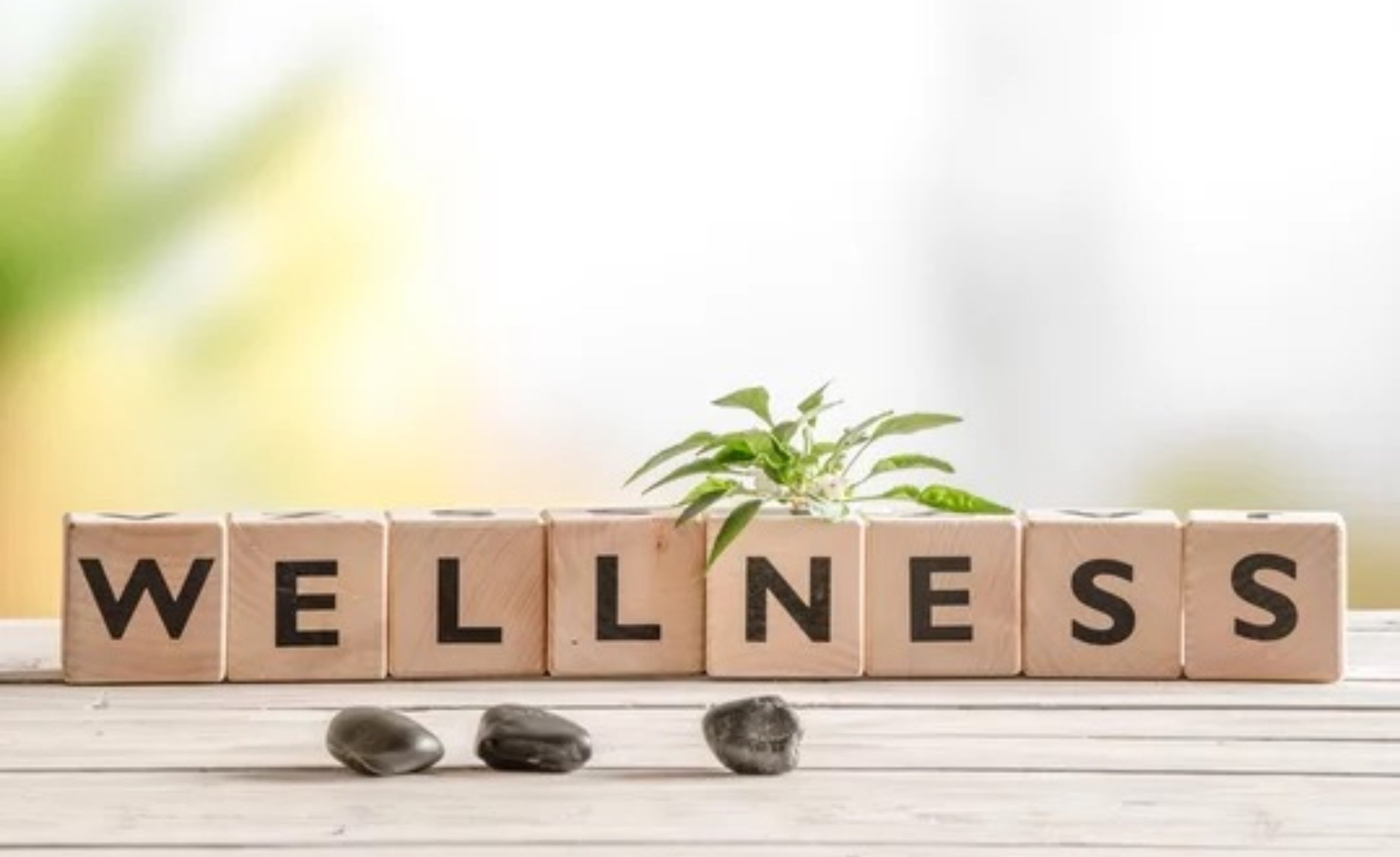 B Vitamins - what you need to know!