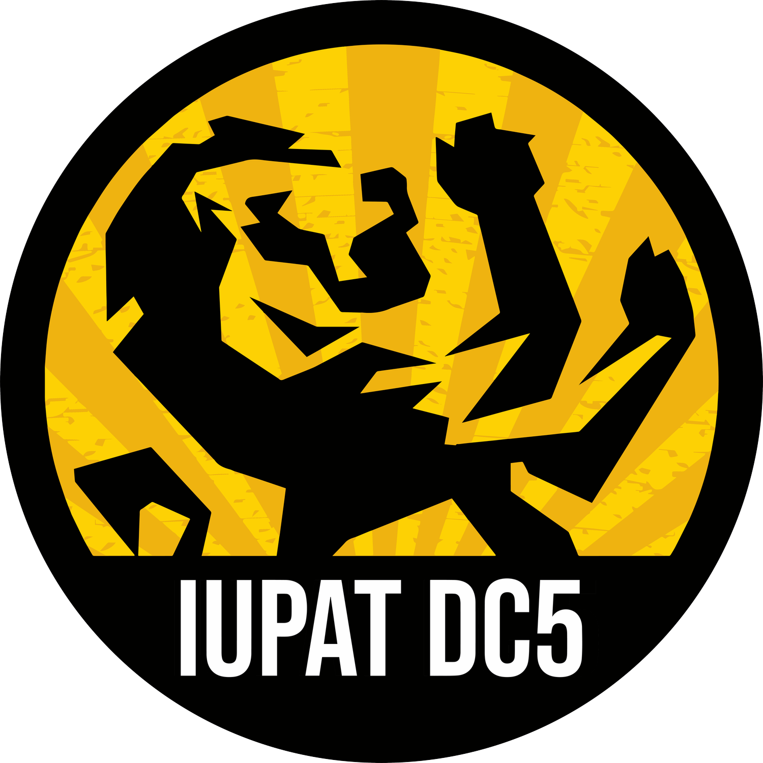 A black and yellow logo with a stylized muscular arm flexing and the text 'IUPAT DC5' at the bottom.