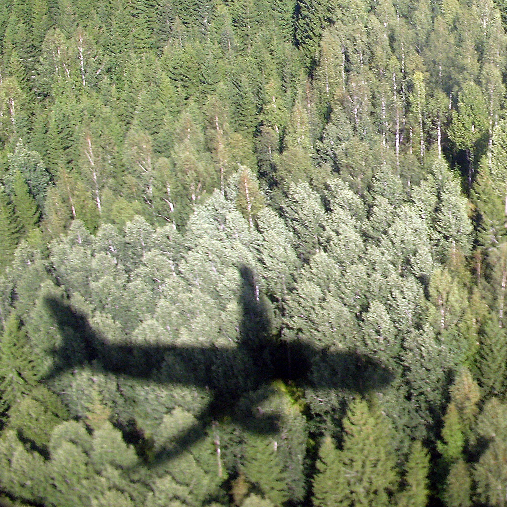 Sustainable Aviation