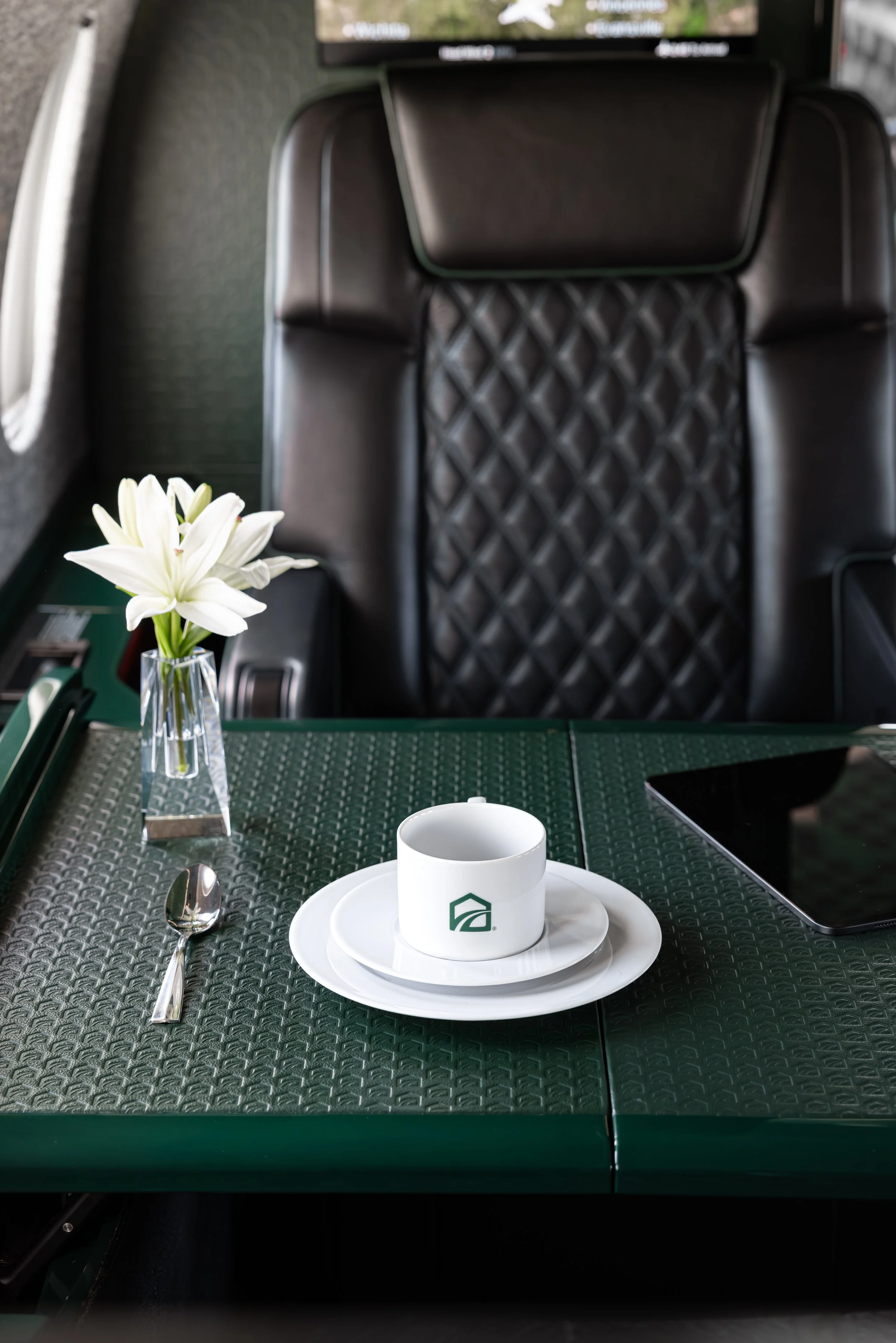 verdant-sky-dassault-falcon-2000-sarah-larranaga-7.jpg