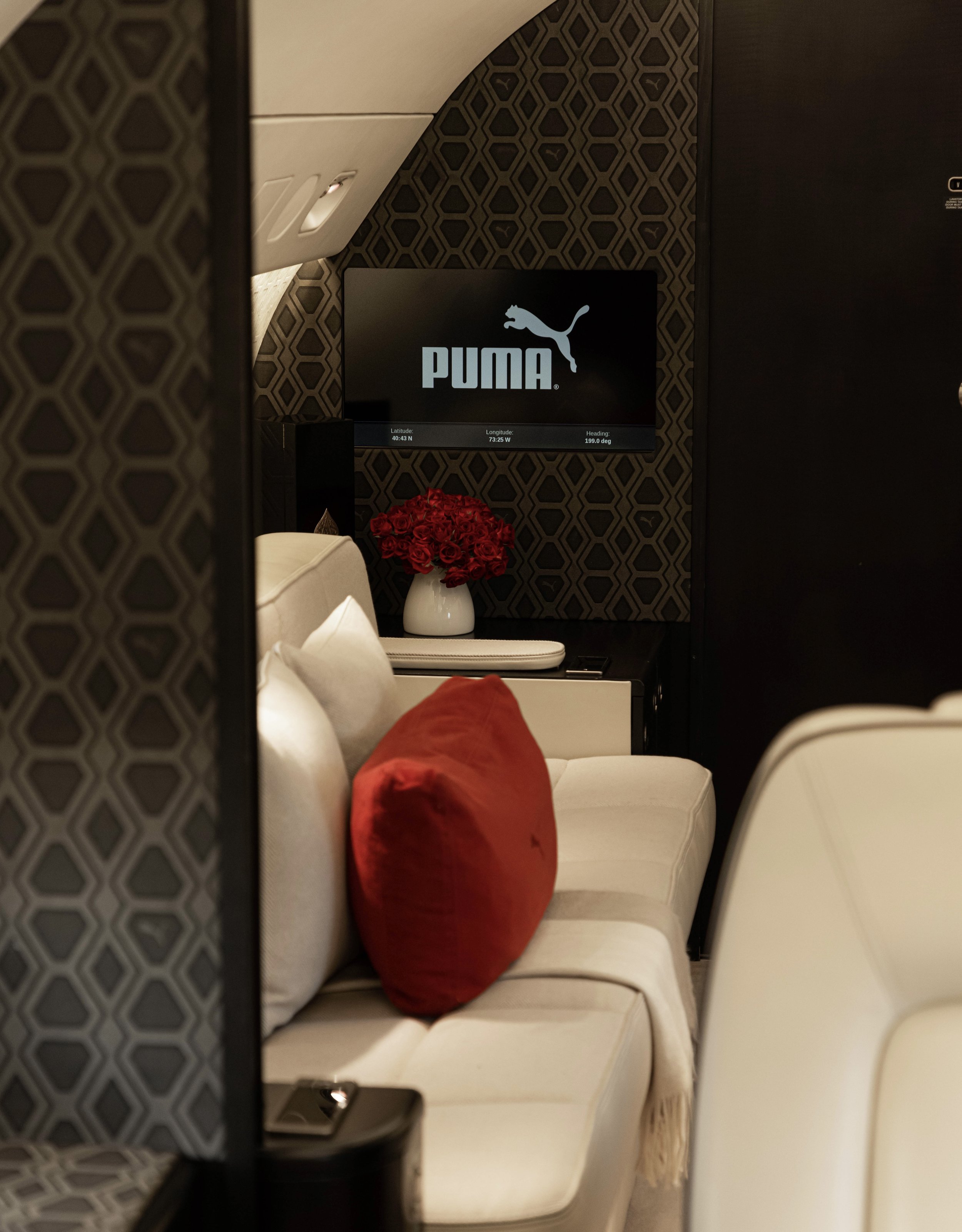 Gulfstream-GV-private-jet-design.jpg