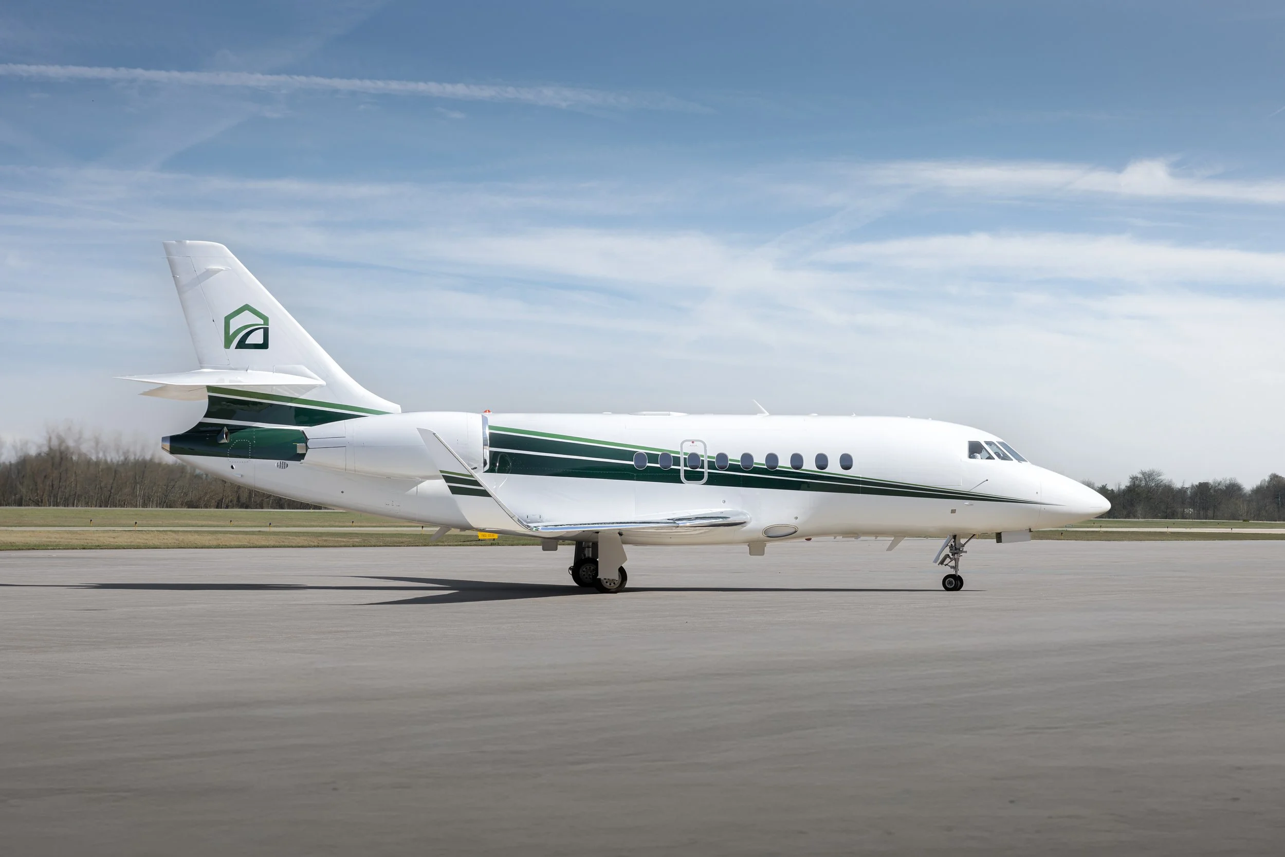verdant-sky-dassault-falcon-2000-sarah-larranaga-1.jpg