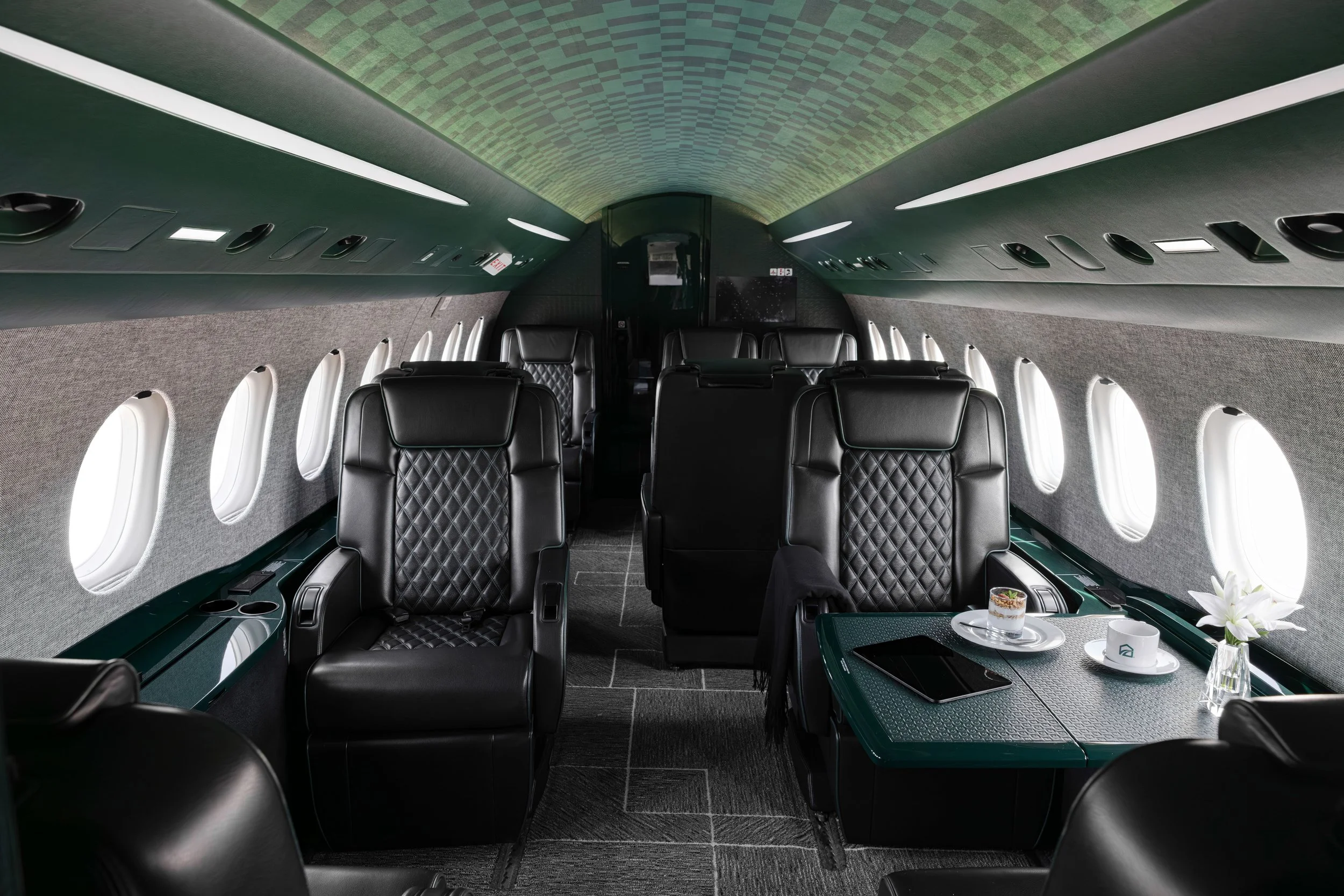 verdant-sky-dassault-falcon-2000-sarah-larranaga-4.jpg