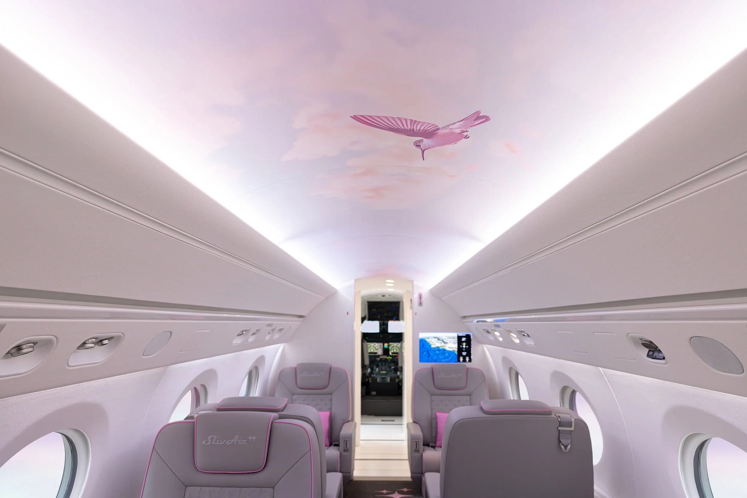 Gulfstream-G450-private-jet-design.jpg