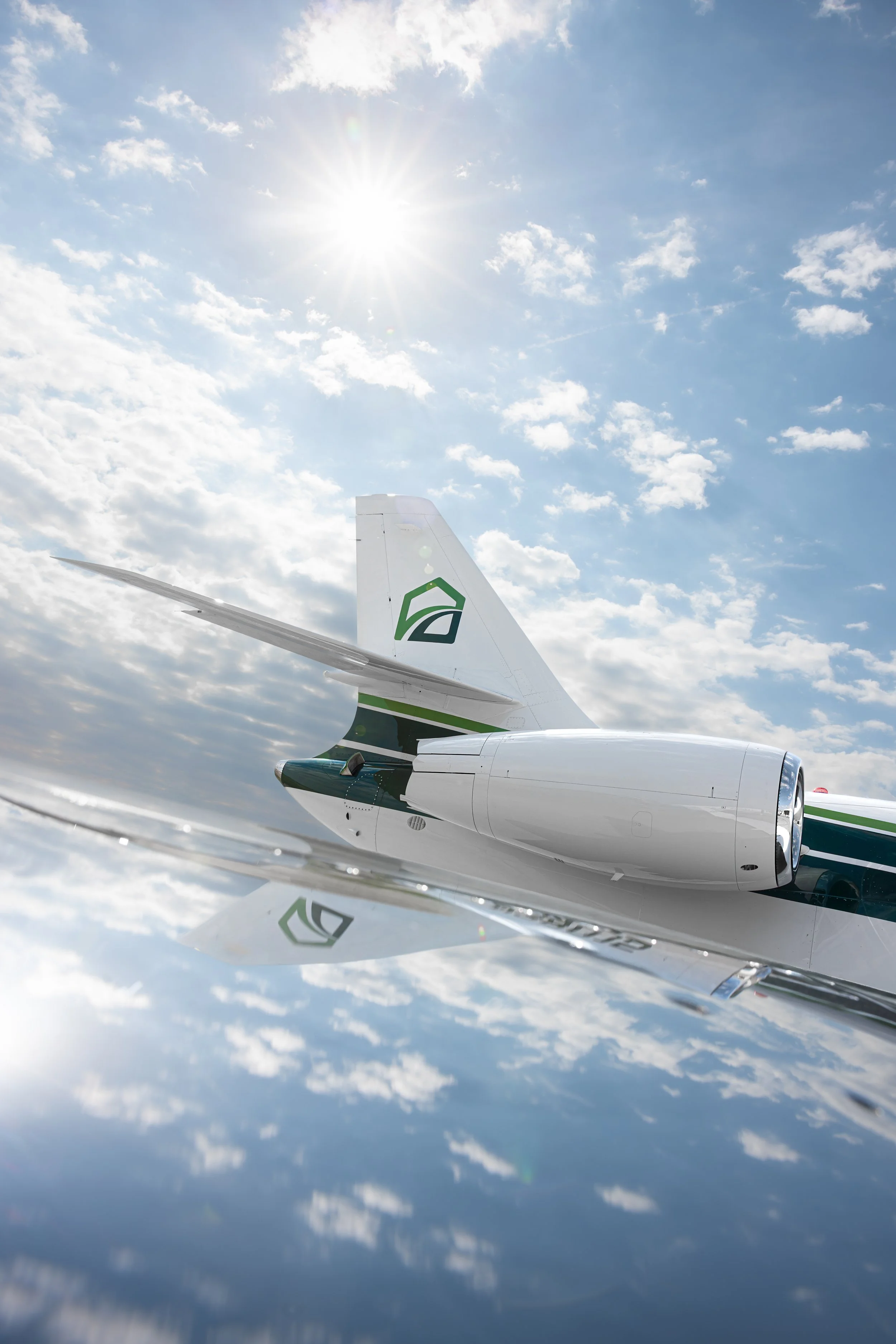 verdant-sky-dassault-falcon-2000-sarah-larranaga-5.jpg