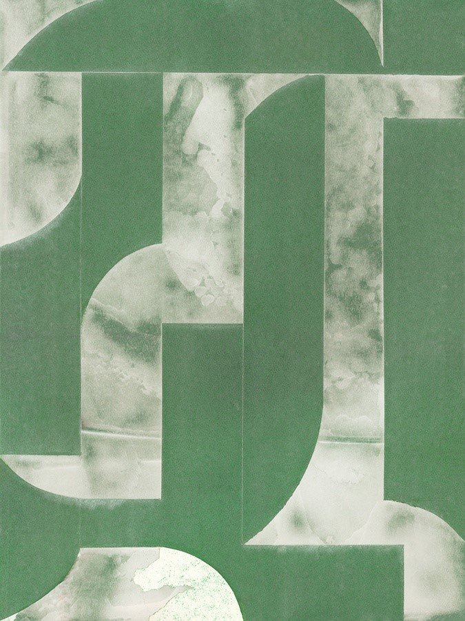 Adaptive Forms I - 24x32.jpeg