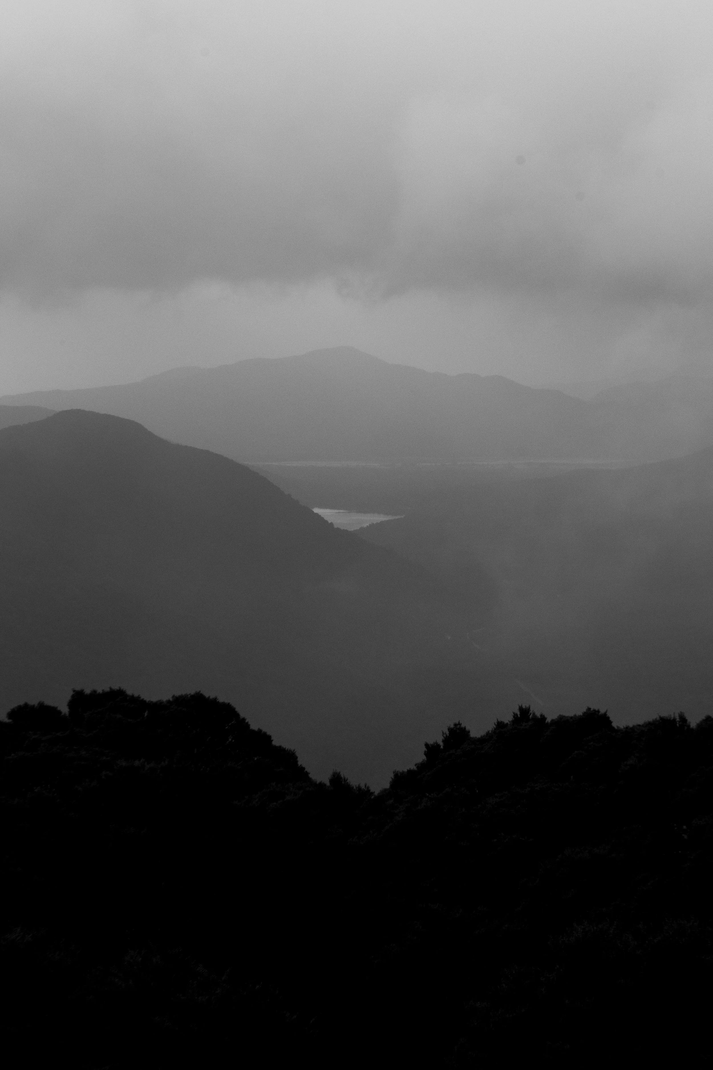 DSC_0247-2.jpg