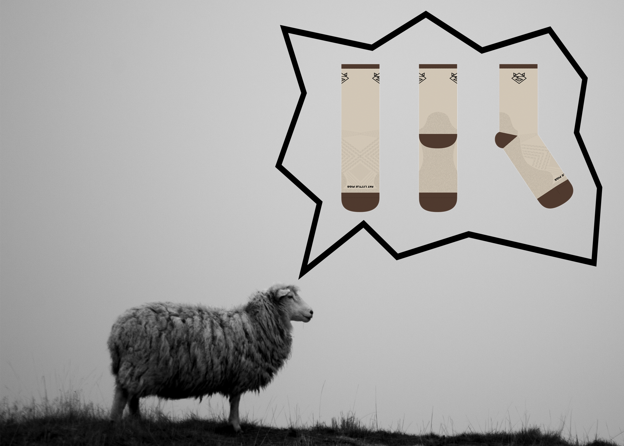 FLP Merino Testing 1-2.png