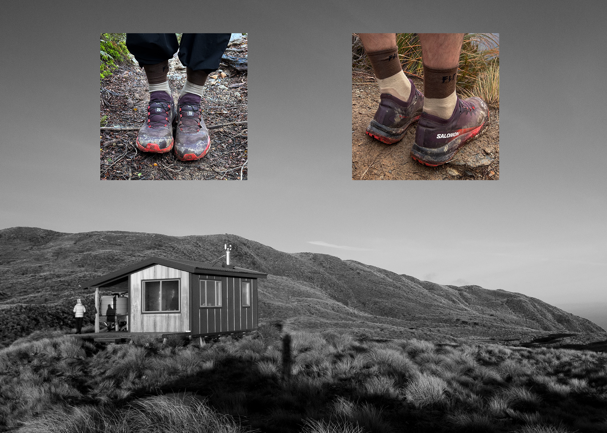 FLP Merino Testing 1-4.png