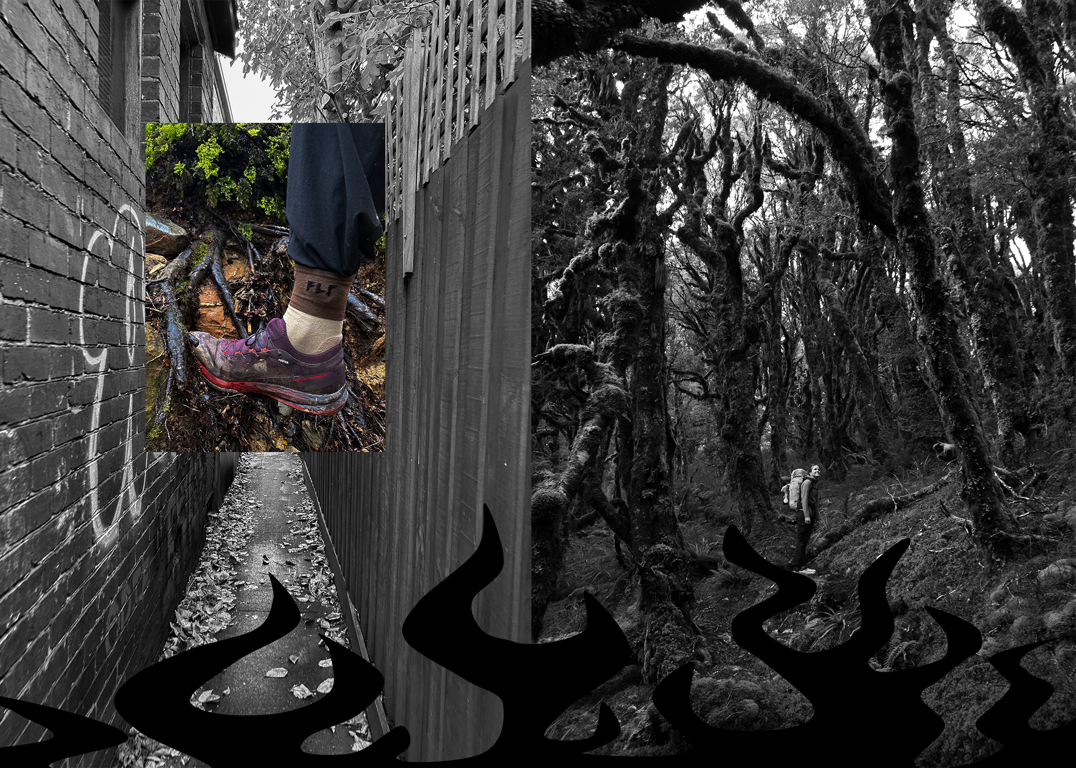 FLP Merino Testing 1-3.png