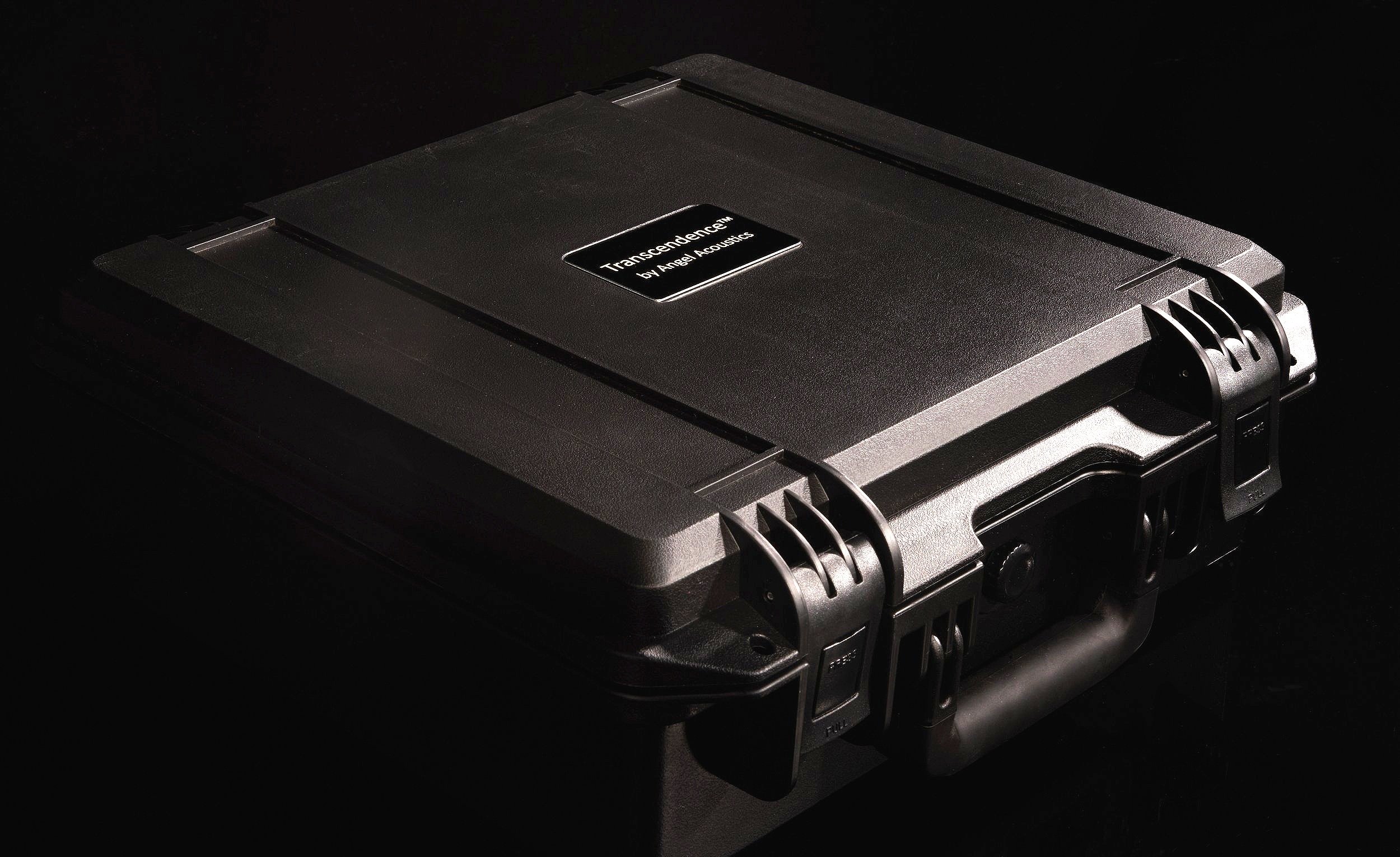 RCA Cables Case