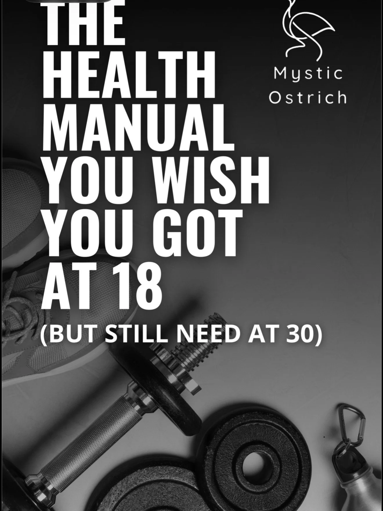 Mystic Ostrich's Core 4 Health Guide