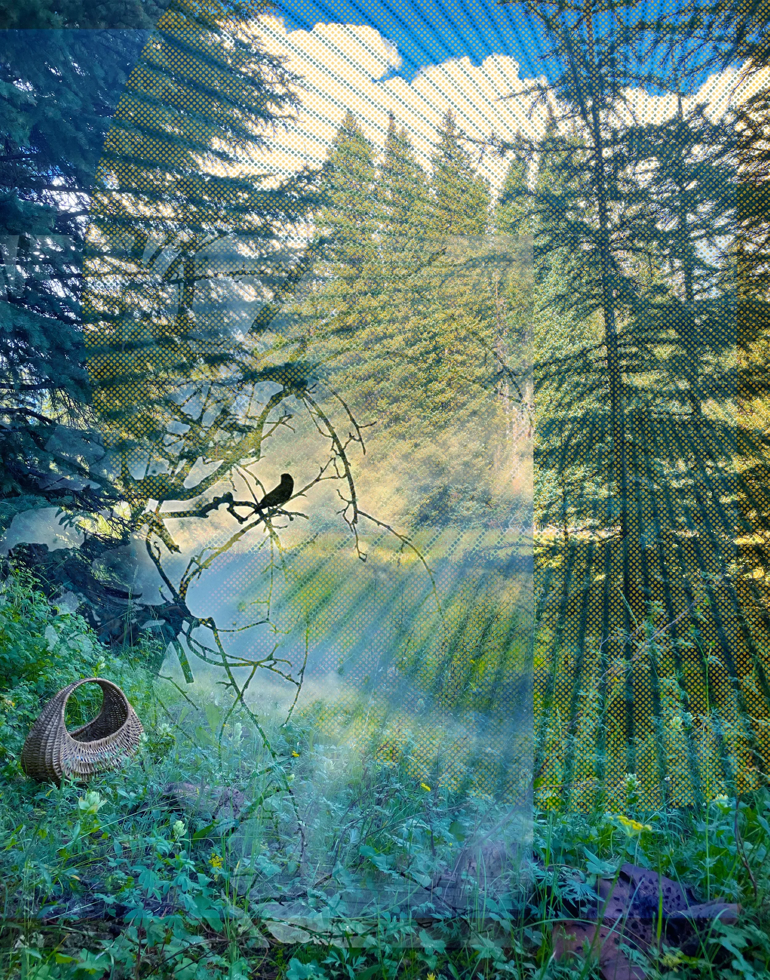 ArtCollages_11x14_NaturesPulse.jpg