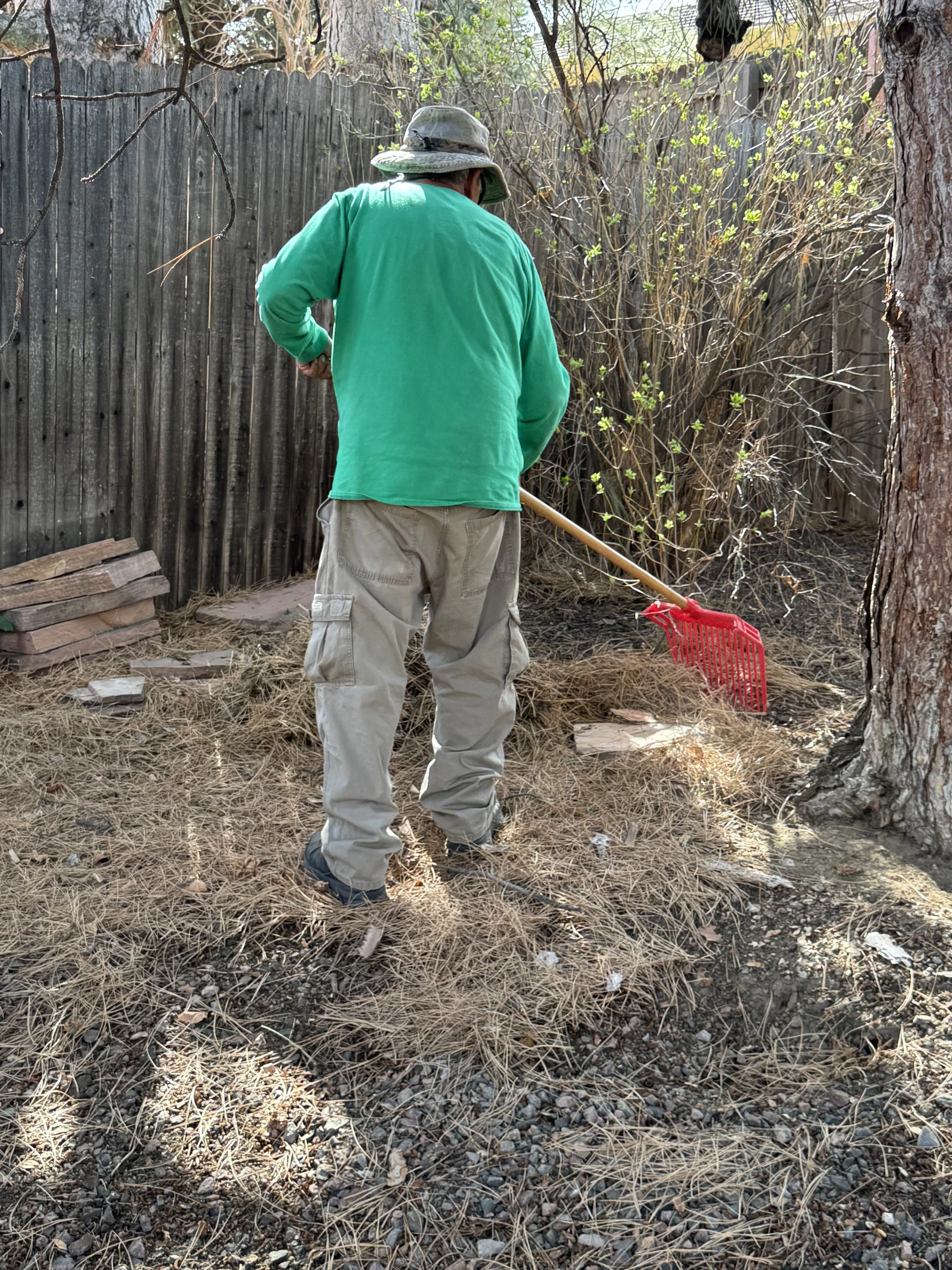Person raking outdoors in a yard with dry leaves and branches, wearing green shirt and beige pants, near a wooden fence.