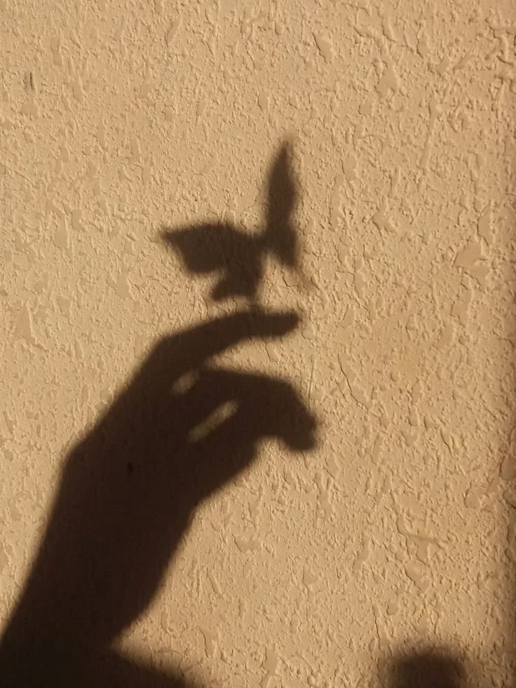 Butterflies born by thy wish🦋✨️.jpg