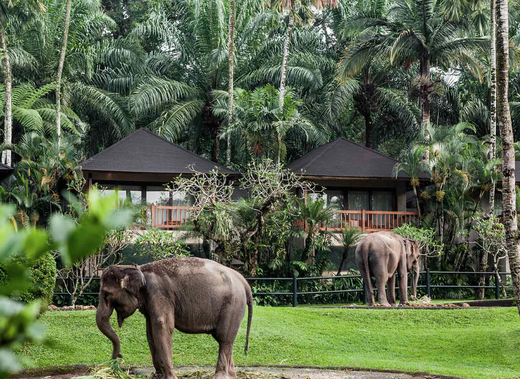 Screenshot 2025-03-23 at 01.03.14.png