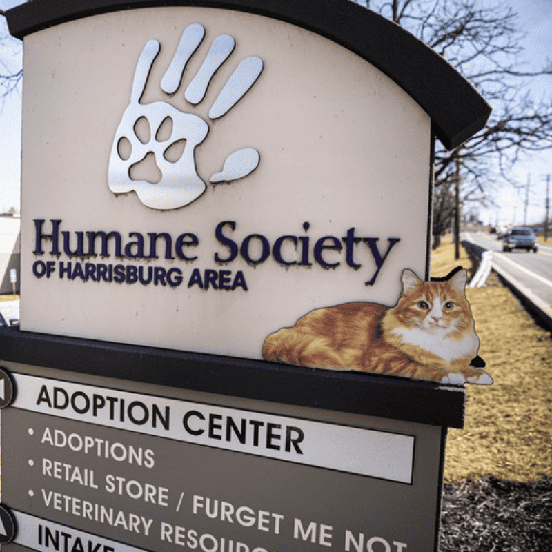 Sign for Humane Society of Harrisburg Area with a paw print hand and cat decal, and an adjacent board listing adoptions, retail store, ferret services, and veterinary resources.