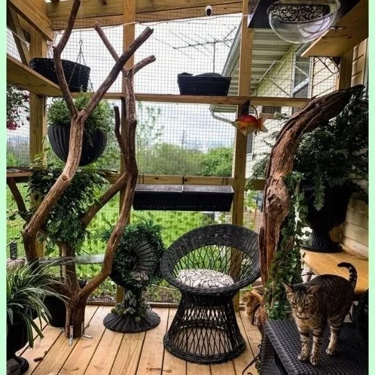 catio idea west lawn pa .jpg