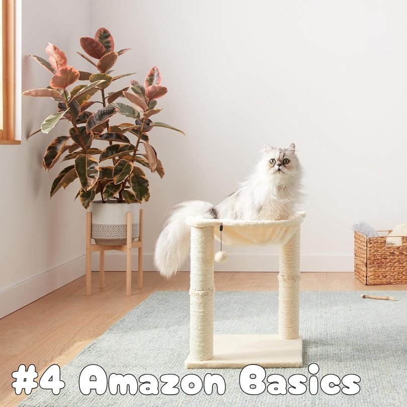 #4 Amazon Basics .jpg