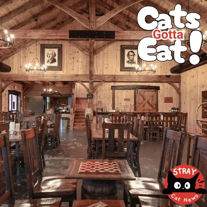 A cozy, barn-style dining area with wooden walls and ceilings, large wooden tables and chairs, and portraits of Abraham Lincoln and George Washington hanging above.