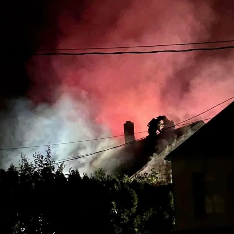 How We Turned a House Fire Into a Cat Enrichment Haven
