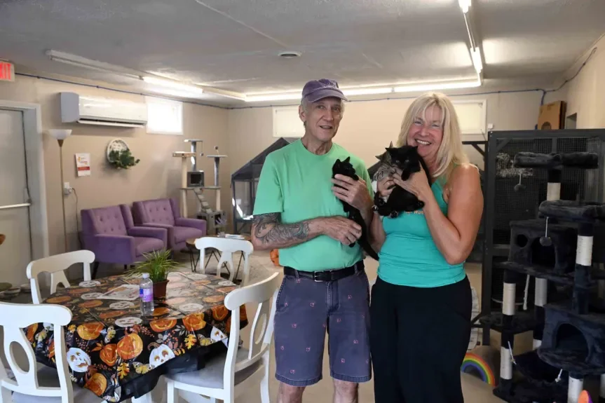 New Cat Lounge Opens in Berks County: A Purr-fect Spot for Adoptions