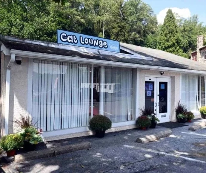 📍 Lower Alsace Township just got a Cat Lounge! 🐱☕✨

Imagine sipping coffee while kittens climb the cat trees around you&hellip; or meeting your future BFF in a cozy living-room-style space. That&rsquo;s exactly what the brand-new Cat Lounge in Ston