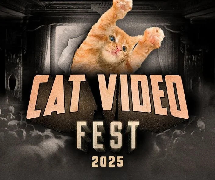 Cat Video Fest 2025 – Capitol Theatre York PA | Benefit for Heavenly Paws