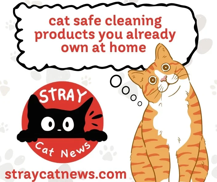 Did you know your favorite “fresh scent” spray could be dangerous for your cat? 😿
Our newsroom (Callie, Seymour, Yebba & Mama) did the research — and we’re breaking down what’s safe, what’s toxic, and the cat