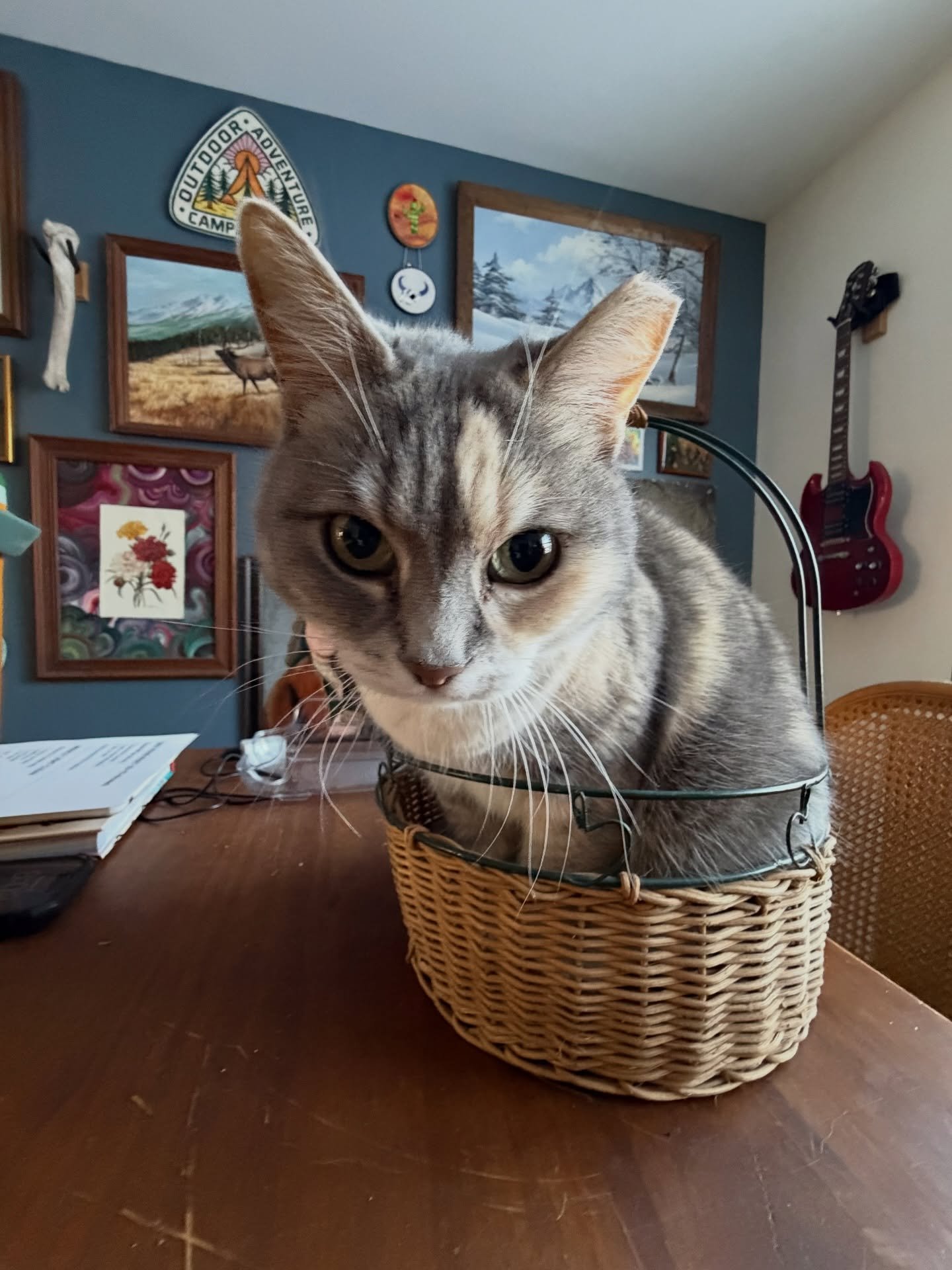 Good morning 🐱✨