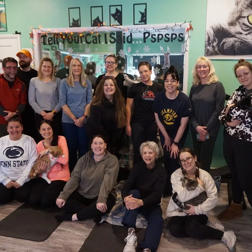 We packed up the hooman and drove two hours for this&hellip; and we&rsquo;d do it again in a heartbeat.

Cozy Cat Stretch at @cozykittycafe  with @tinawielandfit = gentle movement, adoptable cats, and the kind of community that makes you breathe deep