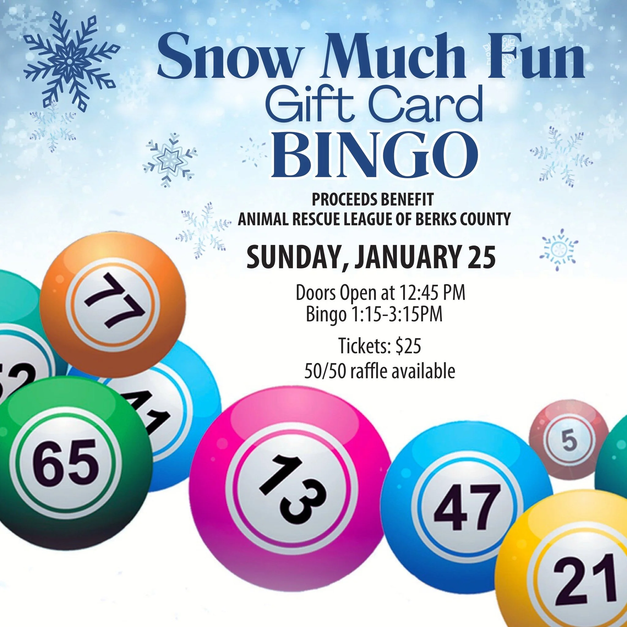 sbnow much fun bingo.jpg