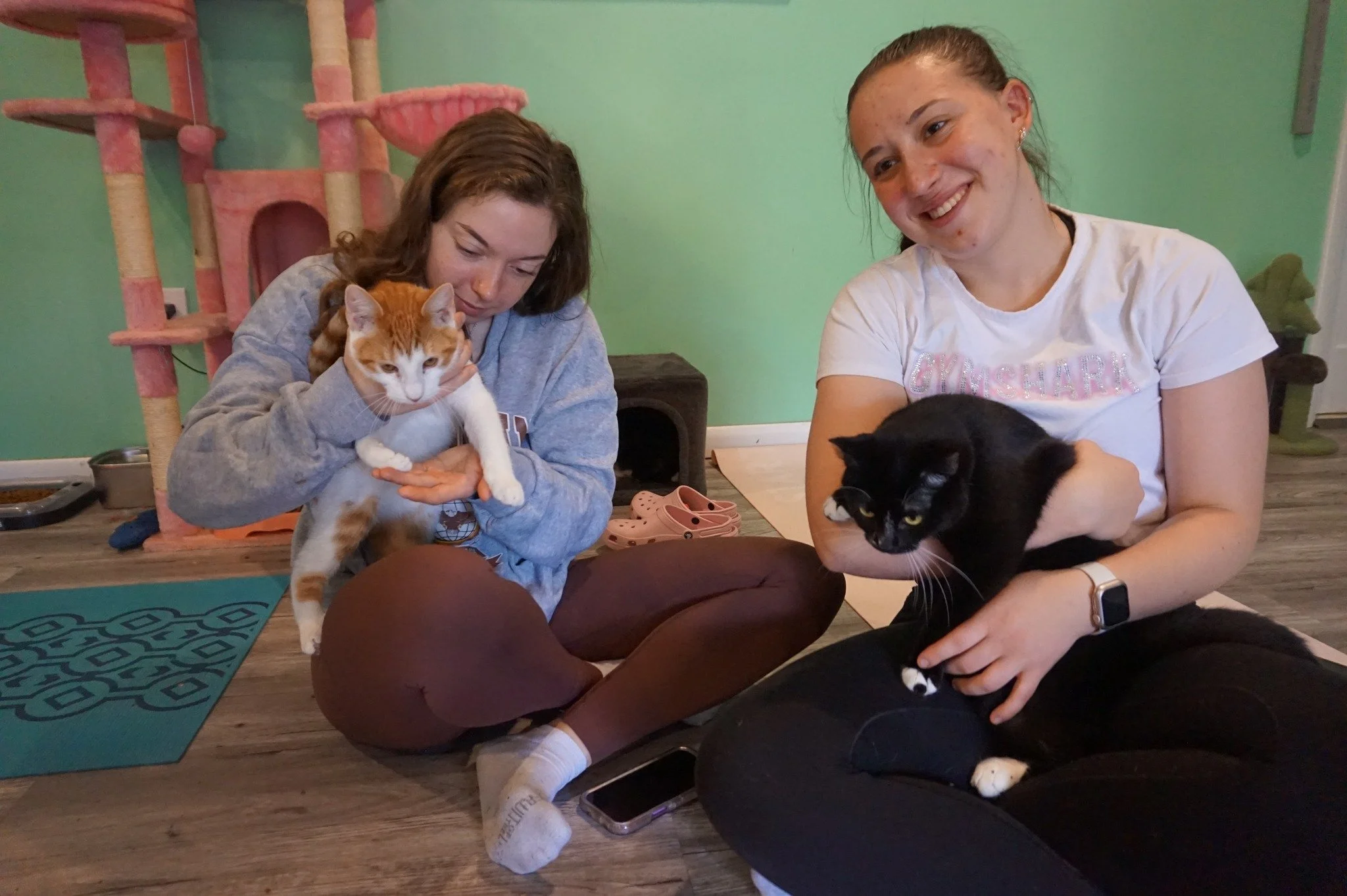 January is better with cats. 🐾

Our January Cat Events in Pennsylvania guide is live on straycatnews.com&mdash; filled with adoption days, fundraisers, and community moments that keep rescues going all winter long.

🐾 Rescues: submit your events fo