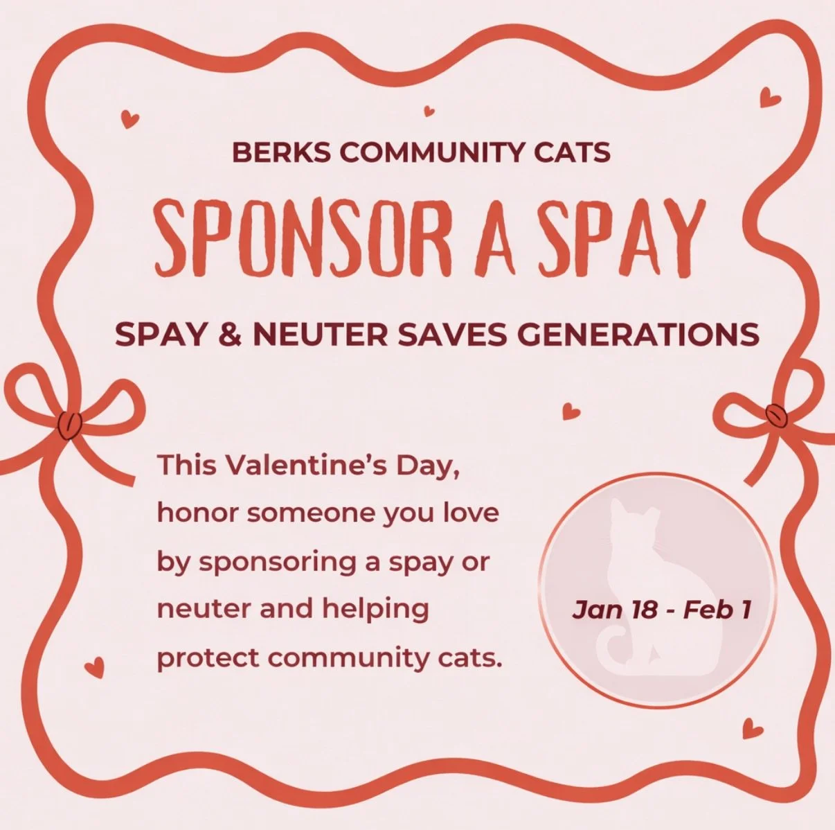 Sponsor a Spay This Valentine’s Day to Help Berks County Cats