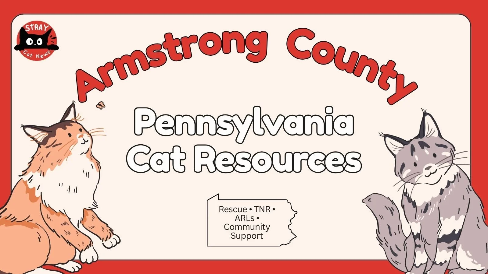 Armstrong County Pennsylvania cat rescue resources including TNR programs, animal rescue leagues, and community cat support.