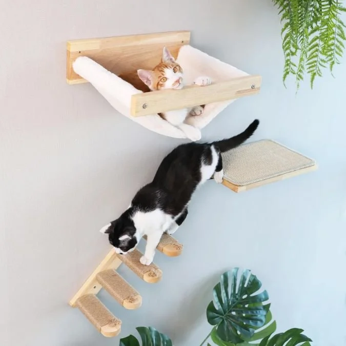 We don&rsquo;t need more floor space.
We need more wall space. 😌🐾
Our rescue cats rounded up the best cat wall shelves for small homes&mdash;perfect for climbing, lounging, and ruling your apartment from above.

✨ Vertical living, cat-approved
✨ Co