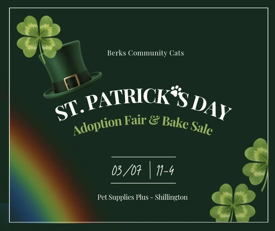 St. Patrick’s Day Cat Adoption Fair &amp; Bake Sale – Shillington, PA