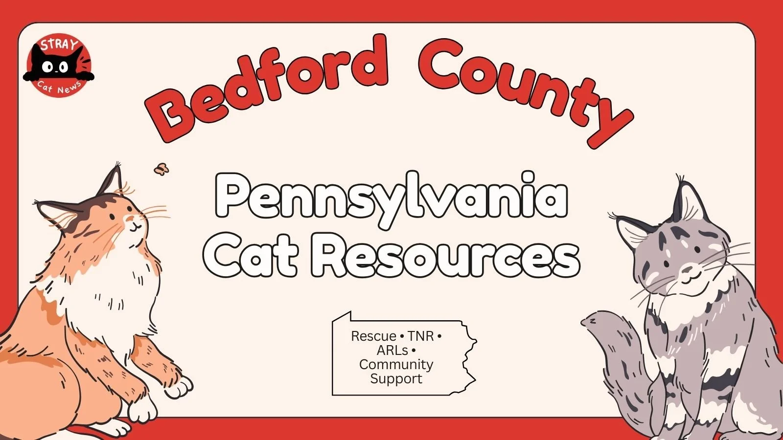 Bedford County Cat Rescues &amp; Animal Welfare Organizations