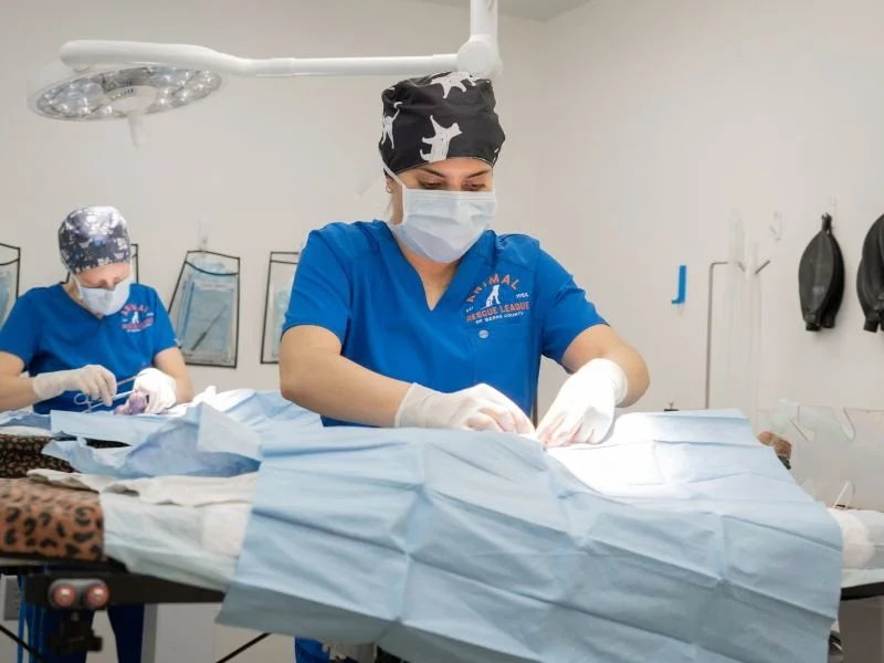 Our local @arlofberksco  just earned a national Snippy Award nomination 🏆🐾

High-volume spay/neuter. Strong adoption outcomes. Real prevention work happening right here in Berks County.

We love highlighting the clinics and teams who do the behind-