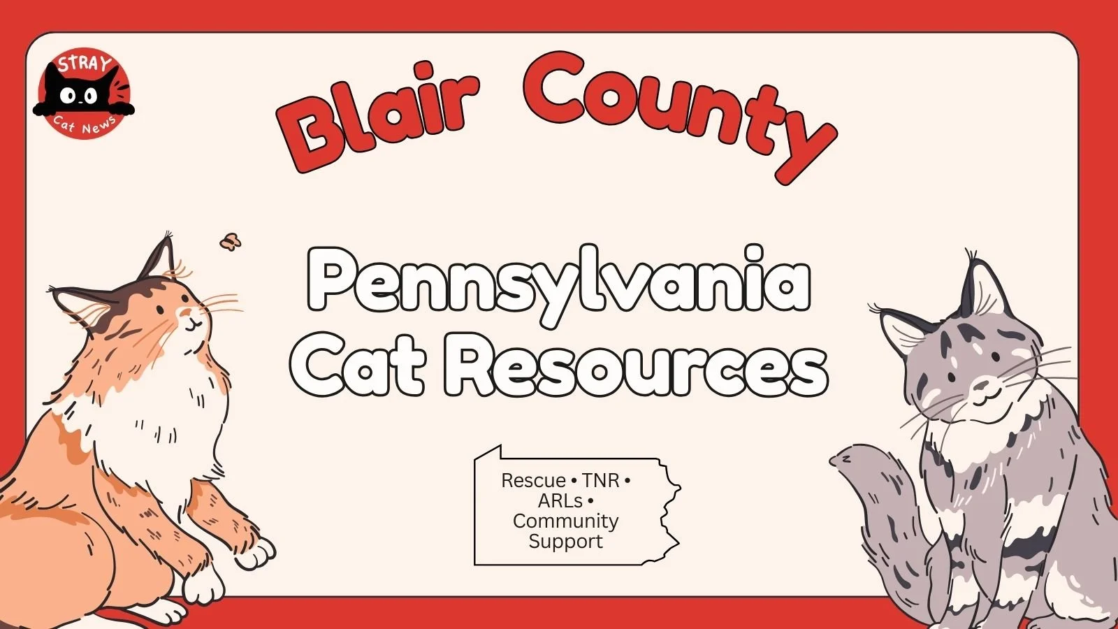 Blair County Pennsylvania cat rescue resources including TNR programs, animal rescue leagues, and community cat support.
