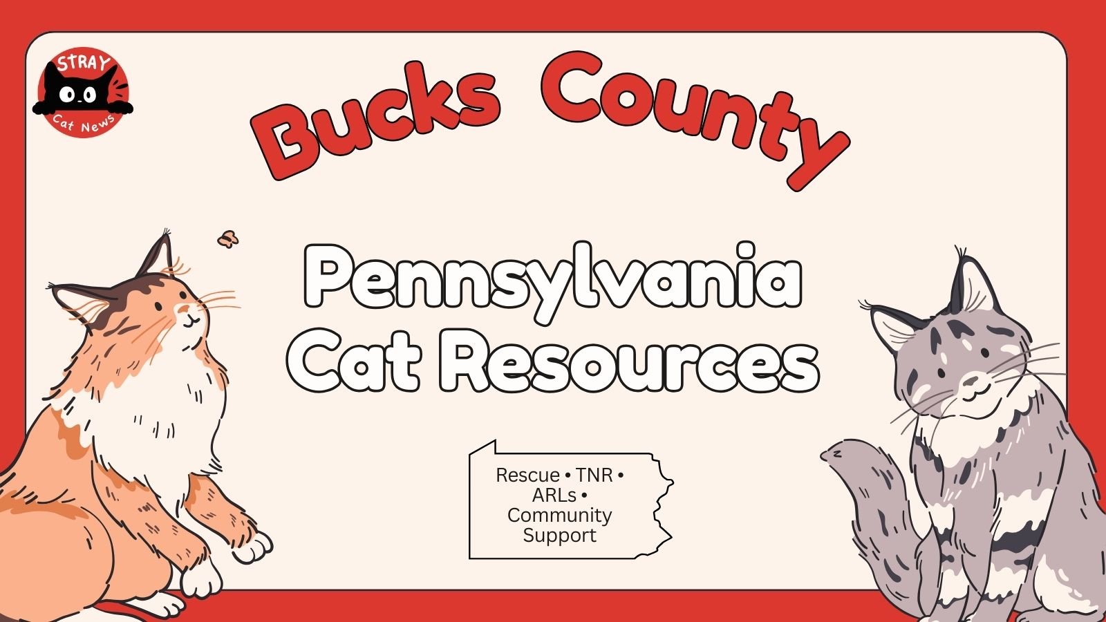Bucks County Pennsylvania cat rescue resources including TNR programs, animal rescue leagues, and community cat support.