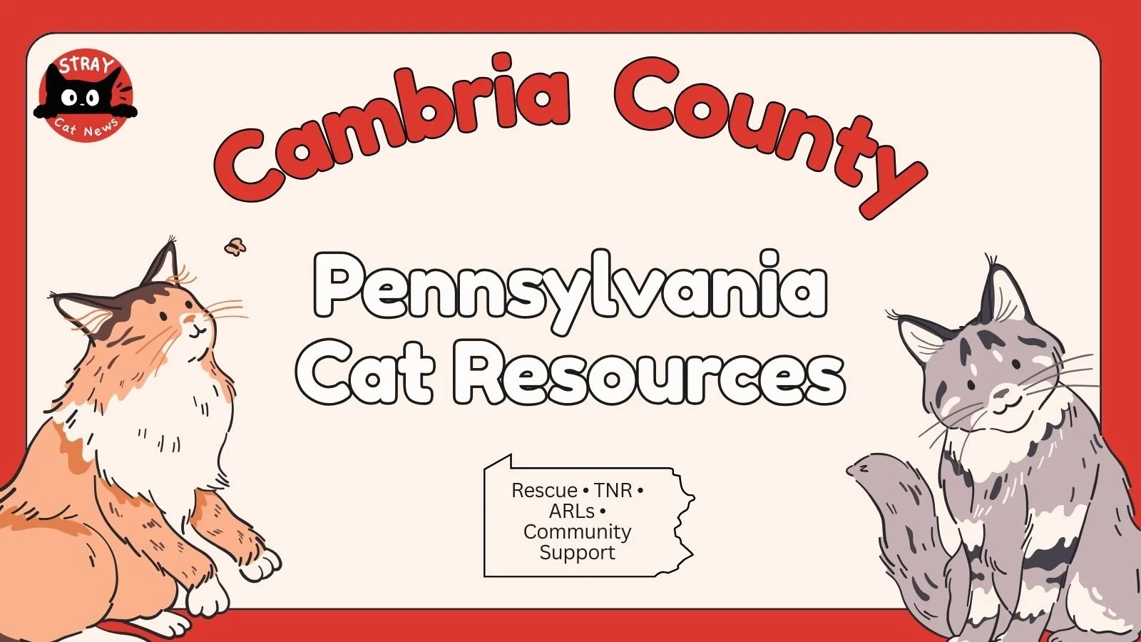 Cambria County Pennsylvania cat rescue resources including TNR programs, animal rescue leagues, and community cat support.