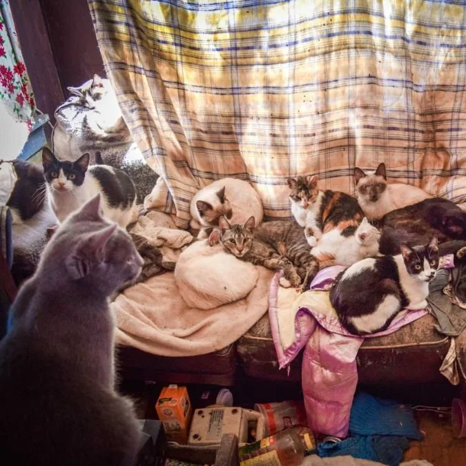 Not all neglect is obvious.
Sometimes it&rsquo;s overcrowding.
Sometimes it&rsquo;s untreated illness.
Sometimes it&rsquo;s silence.
If something feels off&mdash;trust that.

Report concerns to your local SPCA or animal control.

Awareness matters. w