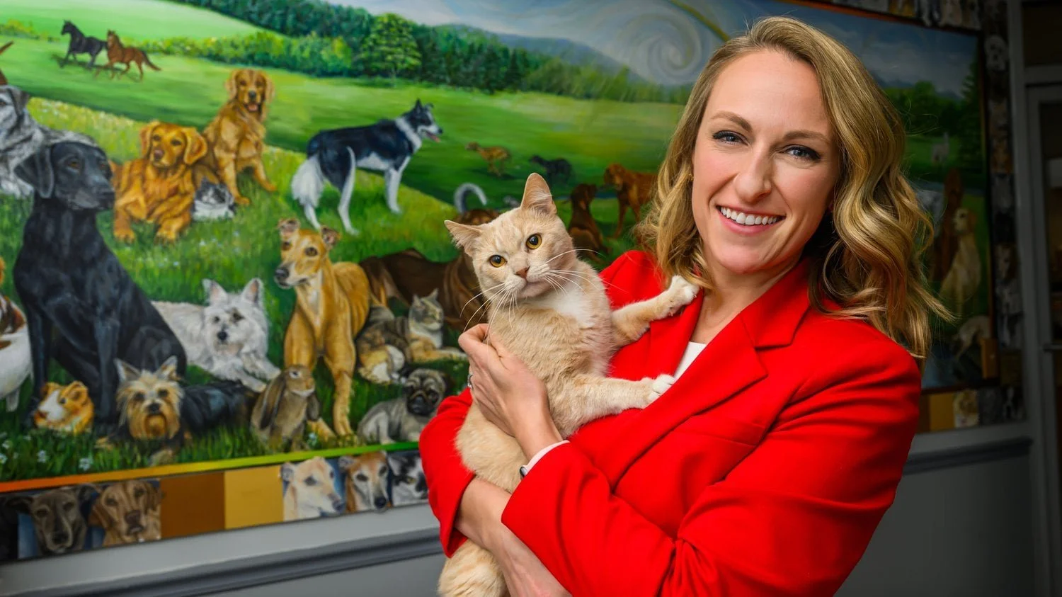 Found a cat in Berks County, PA? Here&rsquo;s what @arlofberksco  wants you to know:

Not every cat outside needs to be rescued.

🐾 Injured or sick &rarr; bring them in
🐾 Kittens that look healthy &rarr; mom is likely nearby
🐾 Healthy adult cats &