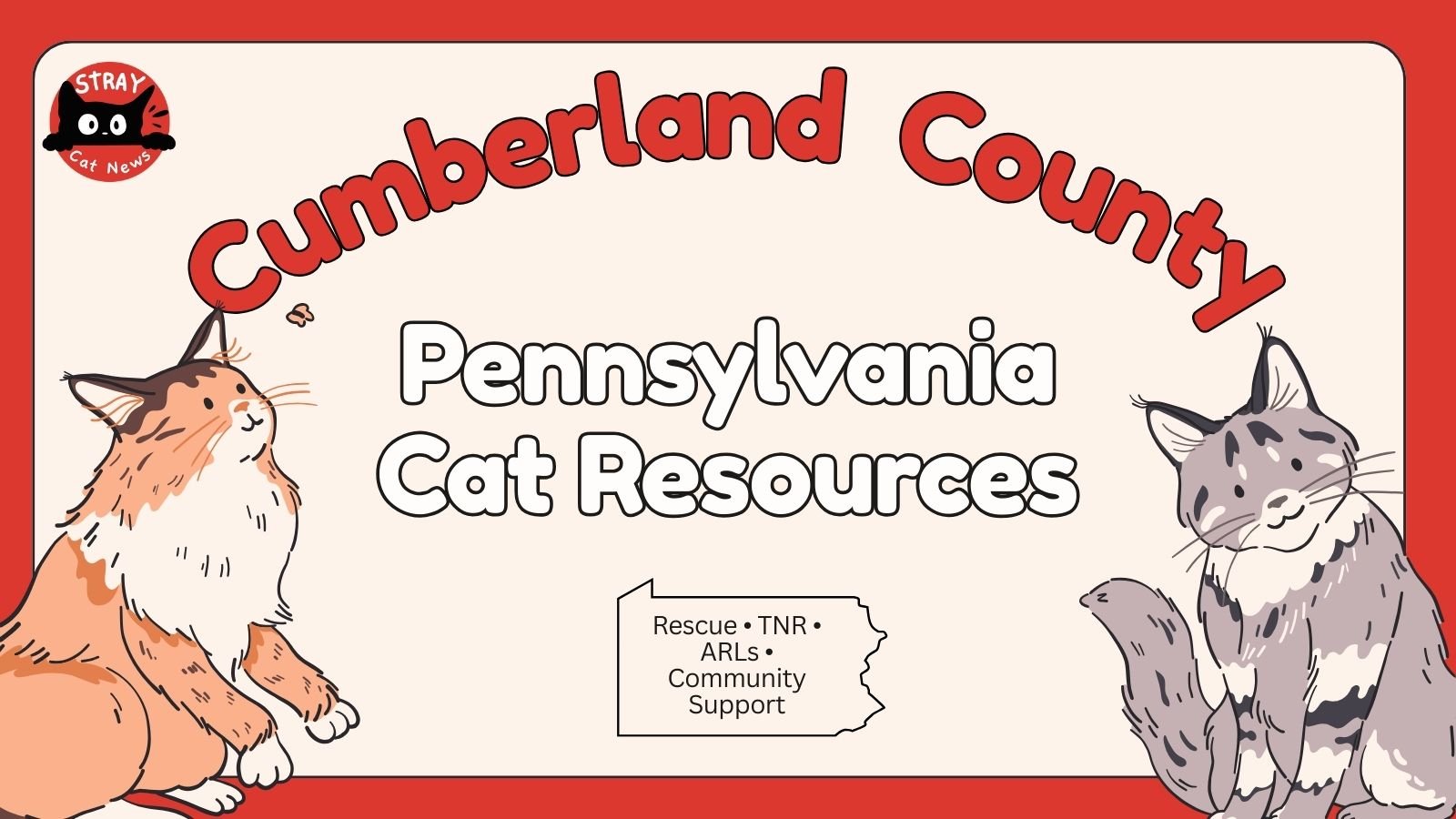 Cumberland County Pennsylvania cat rescue resources including TNR programs, animal rescue leagues, and community cat support.