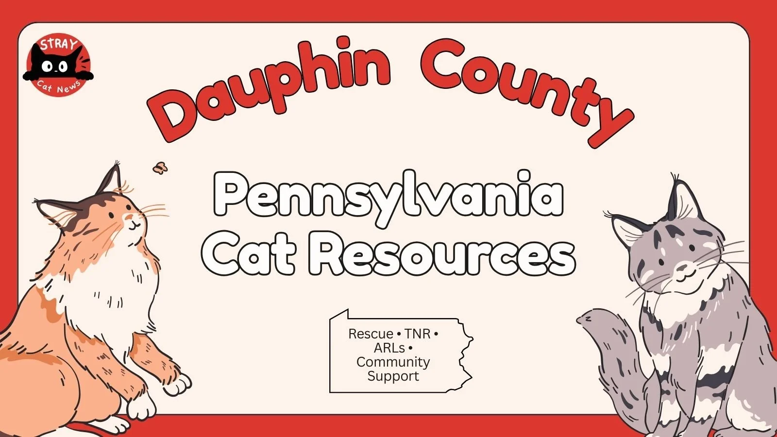 Dauphin County Pennsylvania cat rescue resources including TNR programs, animal rescue leagues, and community cat support.