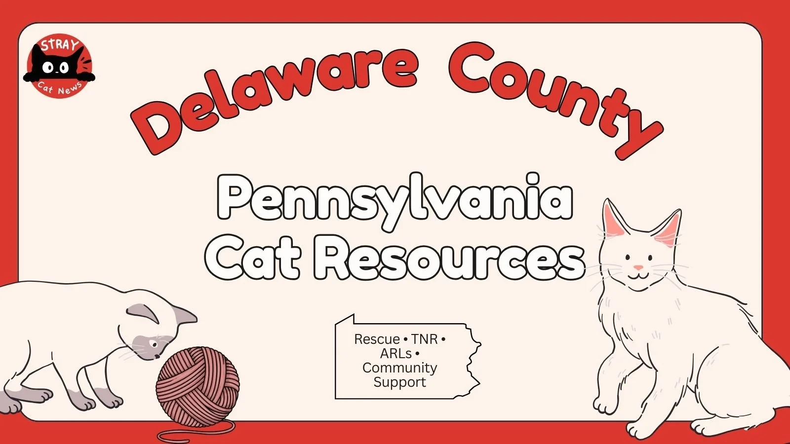 Delaware County Cat Rescues &amp; Animal Welfare Organizations