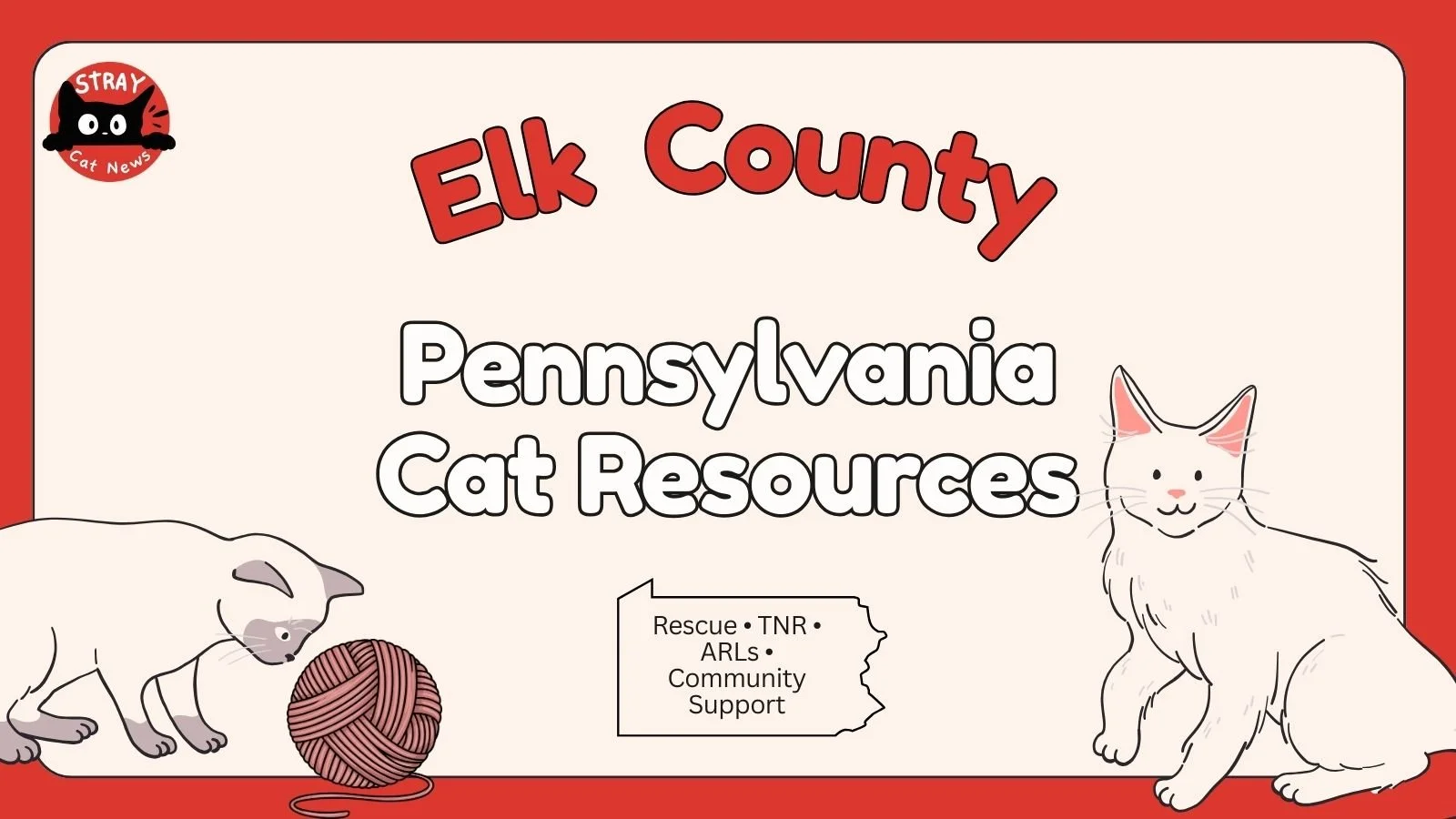 Elk County Pennsylvania cat rescue resources including TNR programs, animal rescue leagues, and community cat support.