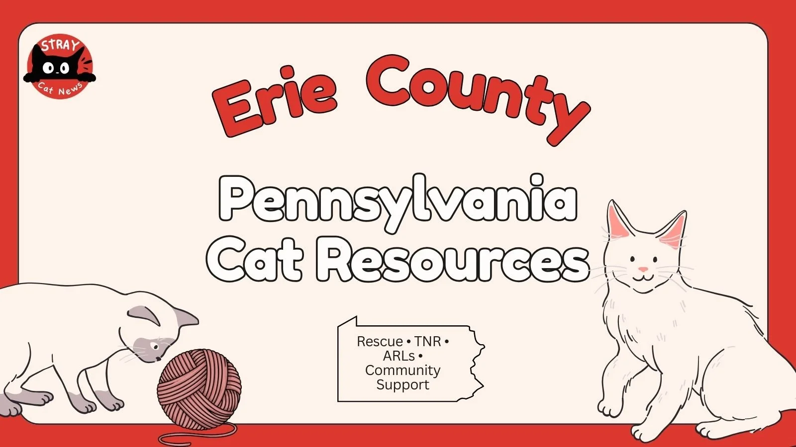 Erie County Pennsylvania cat rescue resources including TNR programs, animal rescue leagues, and community cat support.